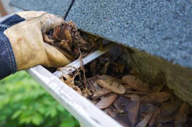 Cleaning gutter in East Kingston, NH.