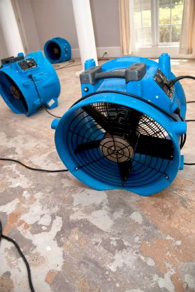 Certified Green Team's drying fans in water damaged house.
